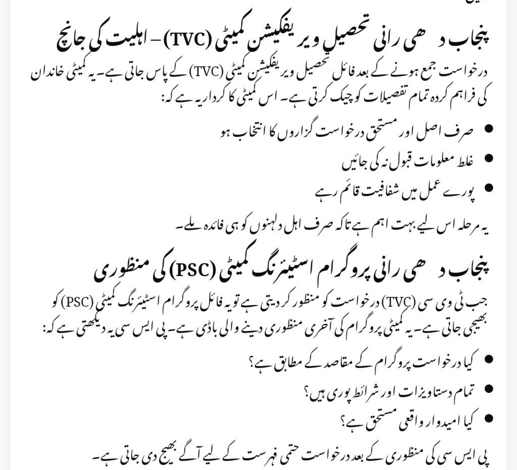 Punjab Dhee Rani CMP Process Flow