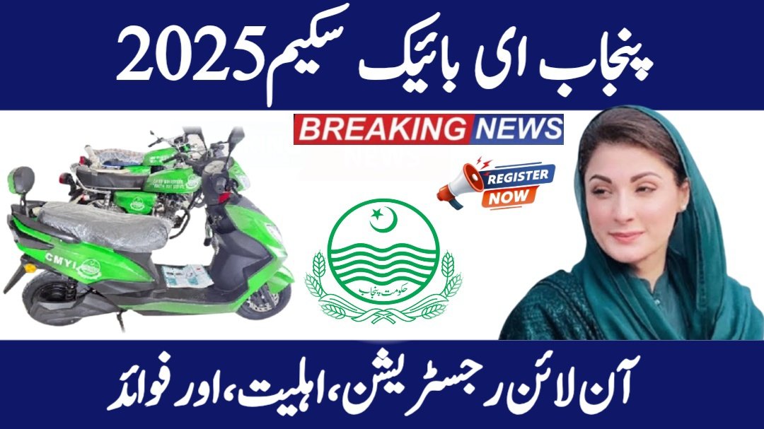 E-bike scheme 2025